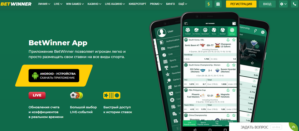 Comprehensive Guide to BetWinner Support 8